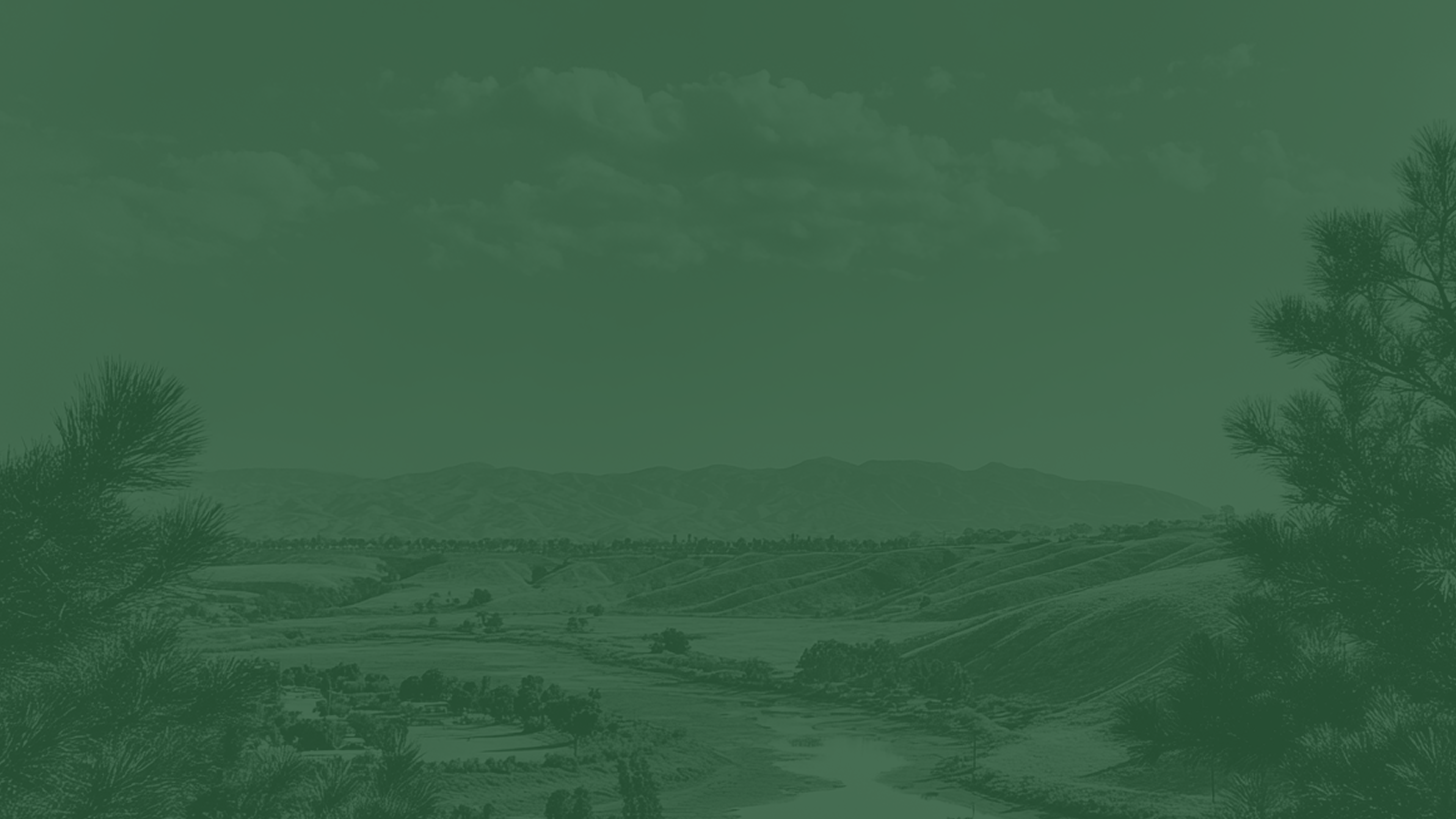 Green background