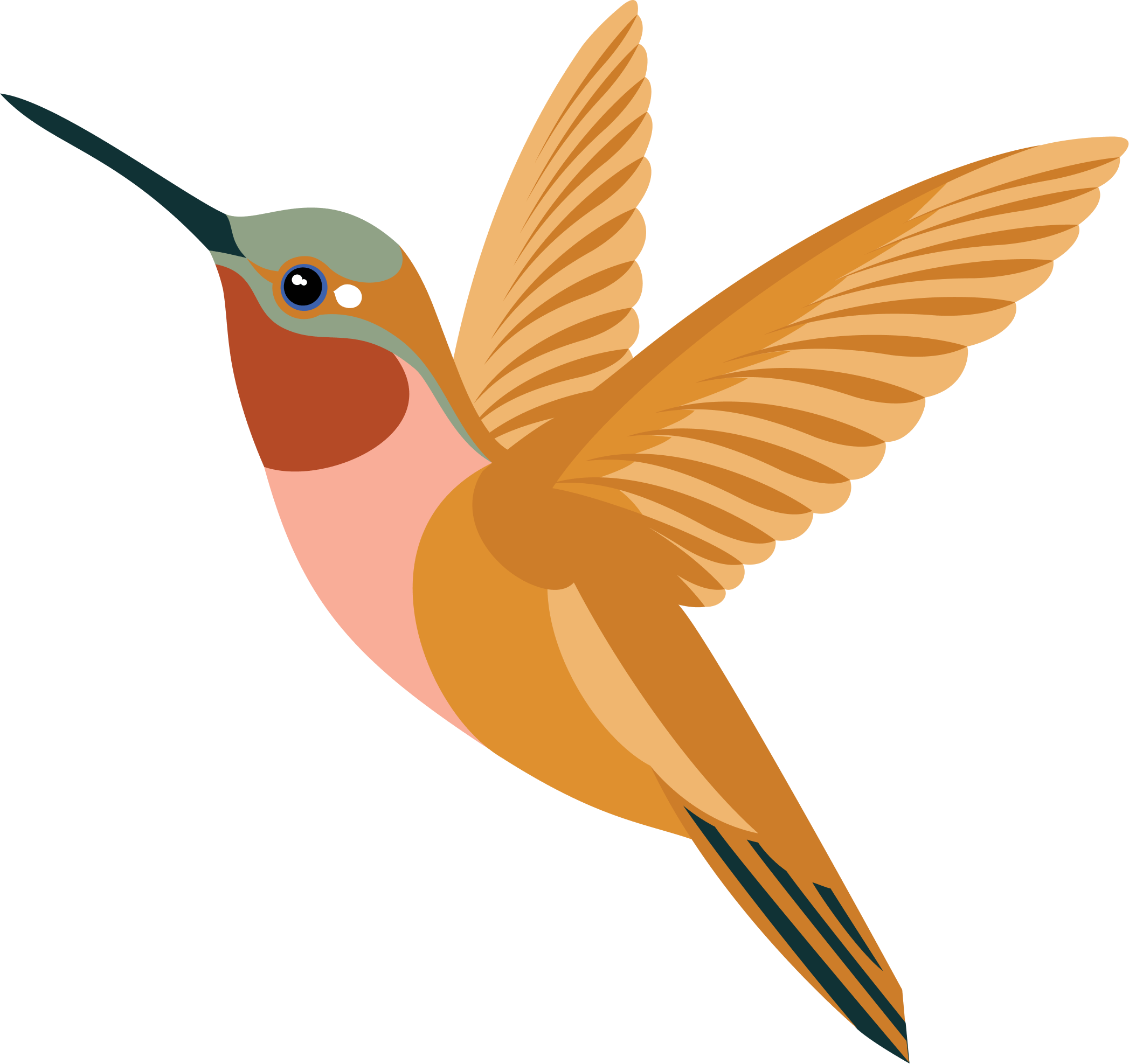 bird